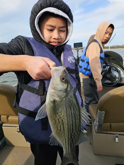 Hybrid striped bass 4hr trip