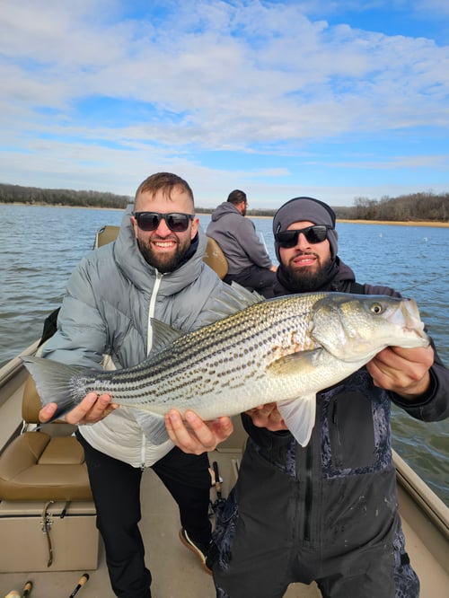 Hybrid striped bass 4hr trip