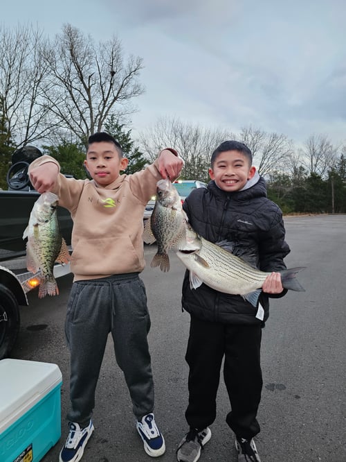 Hybrid striped bass 4hr trip