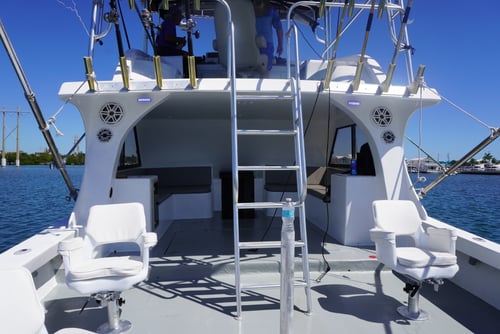 6 Hour Reef & Wreck (PM)