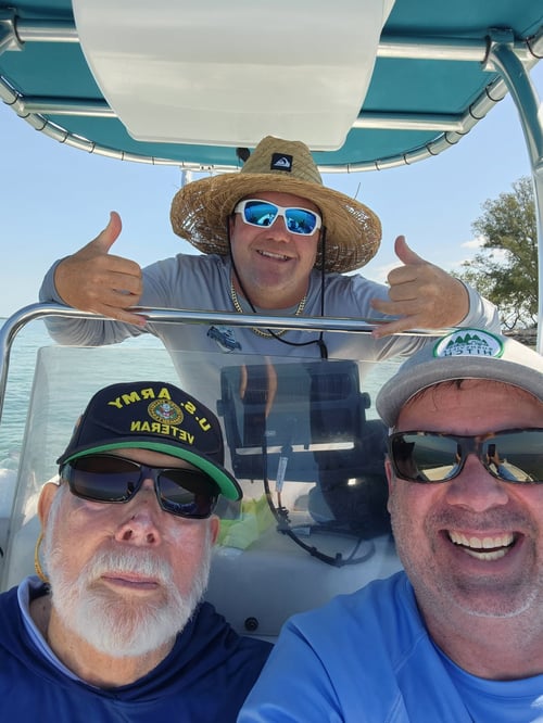 Dolphin and shark cruise