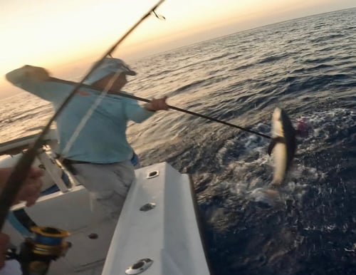 Sunset Fishing!
