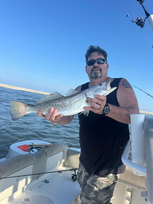 Trolling/ Island Fishing