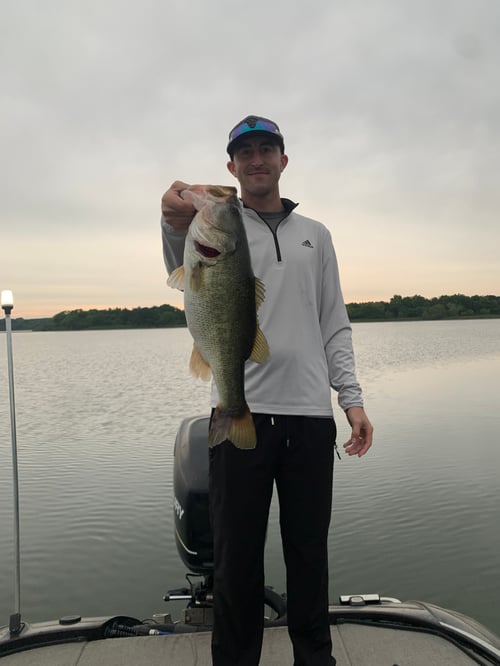 Lake Fayette Bass Fishing