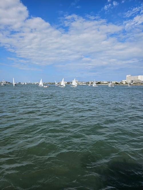 Boat Cruises