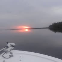 Tours and boat rides.