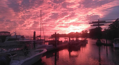 Tours and boat rides.