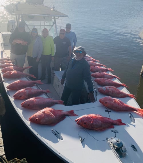 6 Hour Red Snapper Trip