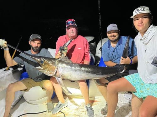 14-24 Hour Swordfish