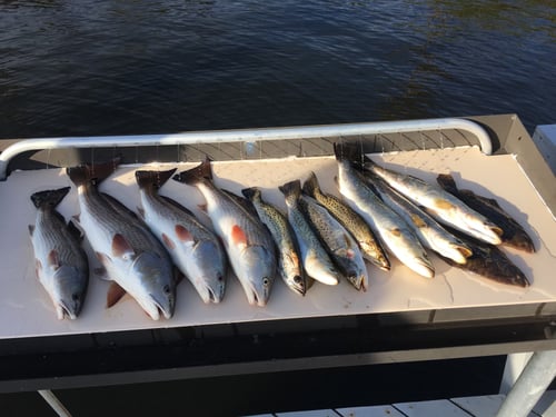 Full Day - Everglades National Park