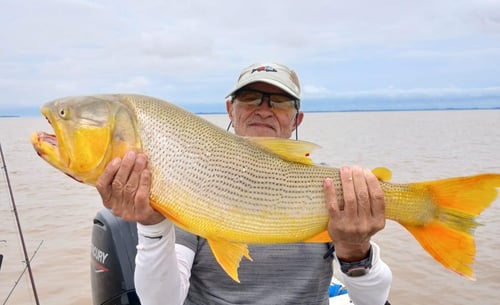 Fishing trips in Argentina