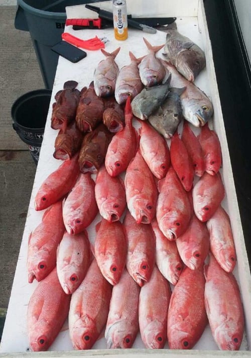 12 hour Deep Sea Fishing