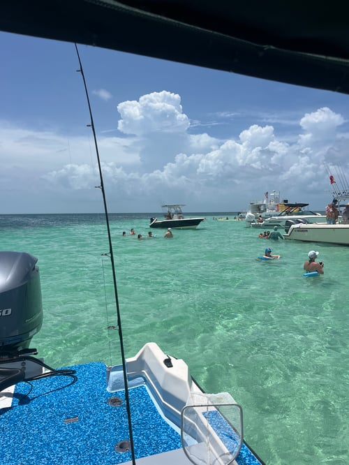 4 Hour Sand Bar Tour