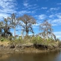 Boat Tours