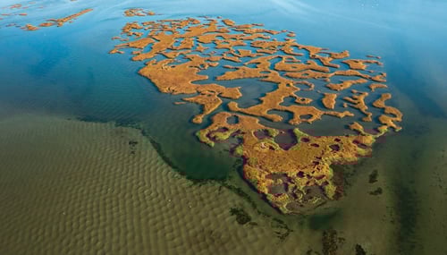 Boat Cruise - Elizabeth Islands