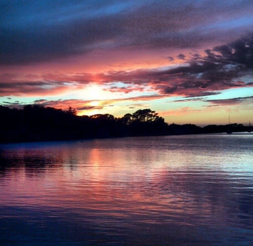 Eco Tours, Pleasure & Sunset Cruise