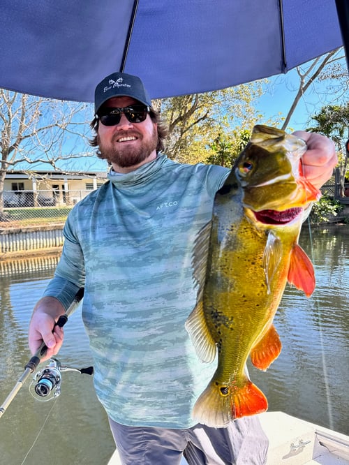 Iguana Hunting Adventure 