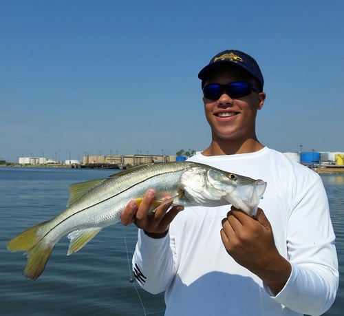 Port Brownsville Ship Channel Snook
