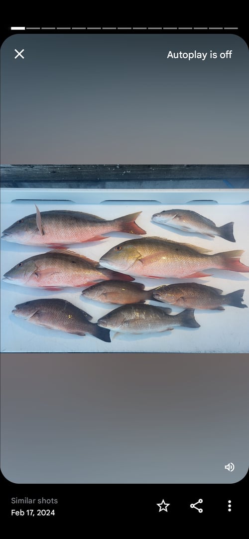 backcountry fishing 