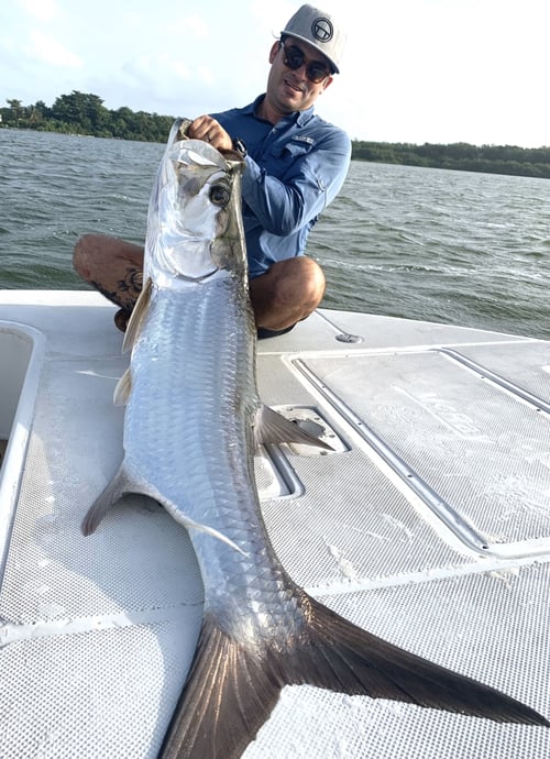 Tarpon Fishing Puerto Rico