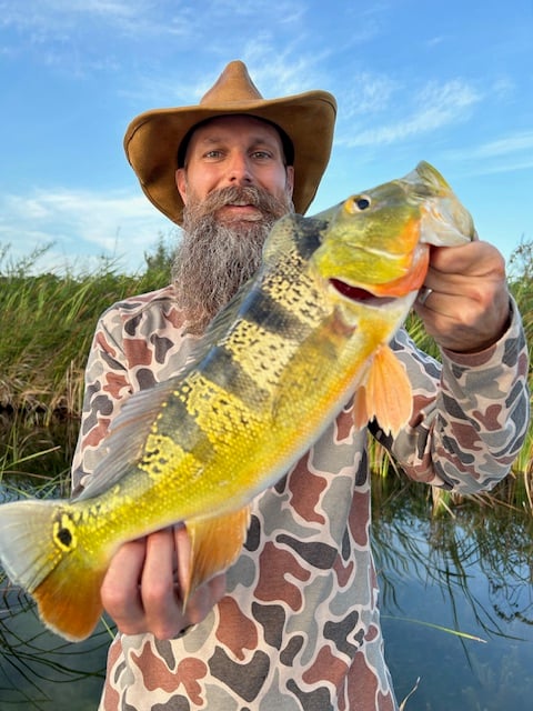 Peacock Bass Puerto Rico