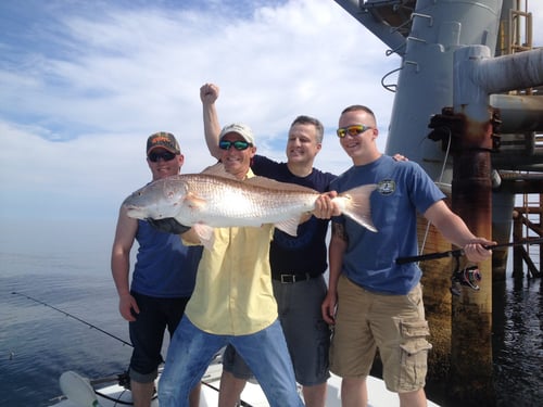 Orange Beach Inshore Fishing 