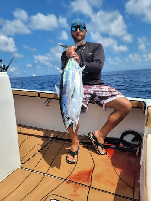 4 Hours of OFFSHORE Reef Fishing