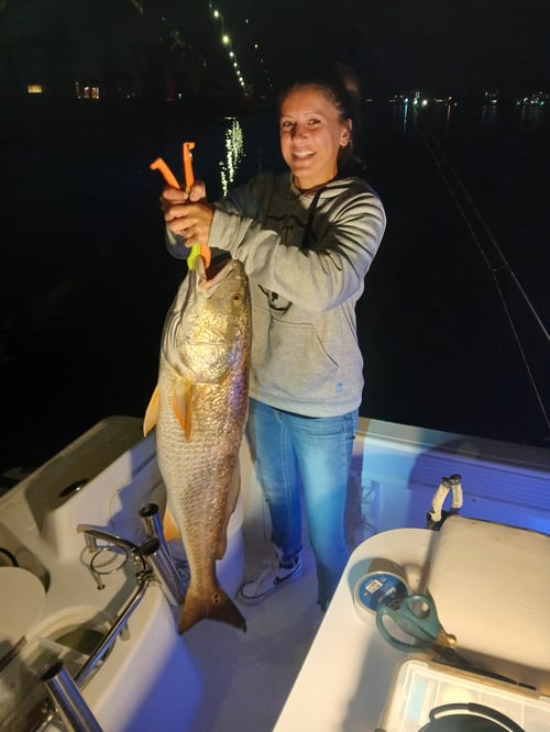 4 Hour Awesome Inshore Fishing Trip