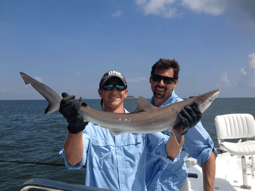 Nearshore Shark Fishing