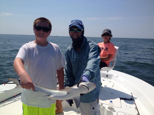 Nearshore Shark Fishing