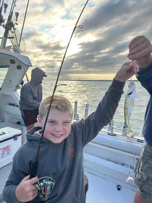 Walleye or Perch on 22' Range