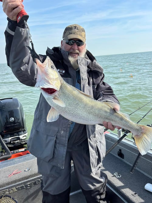 Walleye or Perch on 27' SPORTCRAFT