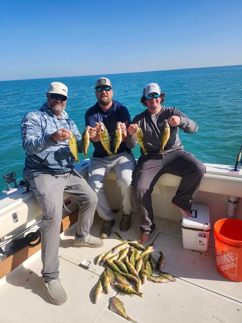 6 Hour Perch Charter