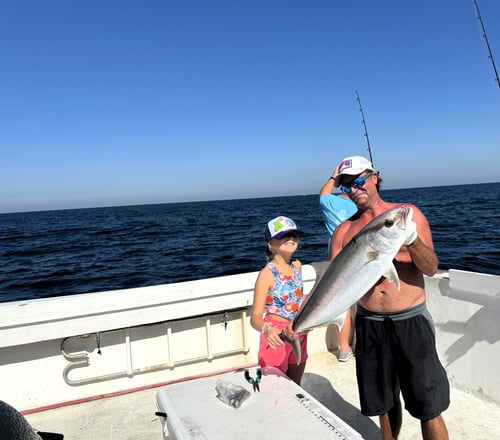 Amberjack Fishing in Gulf Shores, Alabama