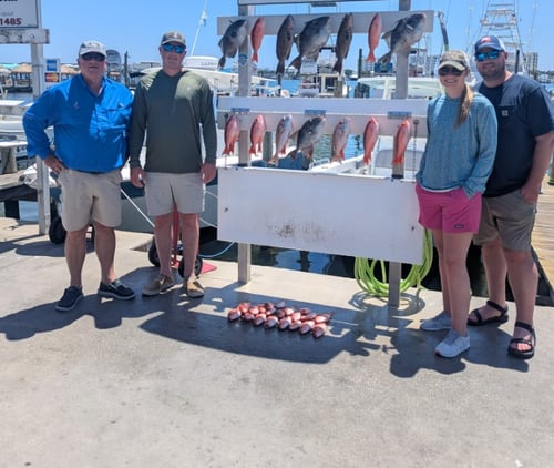 Nearshore 5hrs in the Gulf 