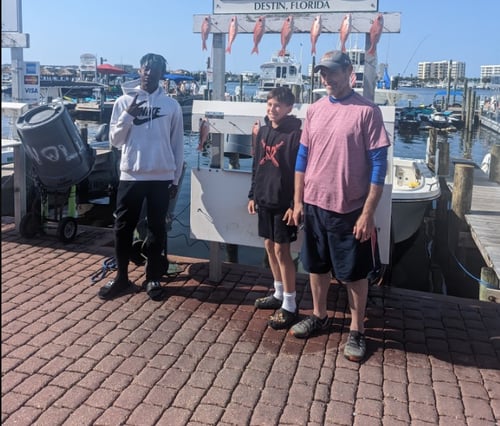 4hrs Nearshore in the Gulf 