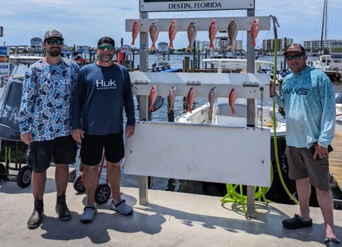 4hrs Nearshore in the Gulf 