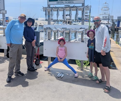 4hrs Nearshore in the Gulf 