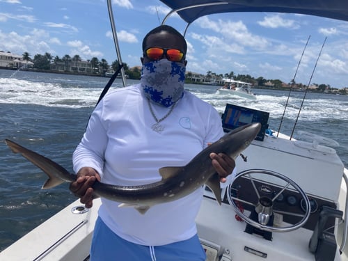 South Florida Fishing Tour