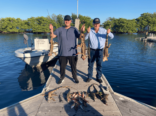 Iguana Hunting Adventure