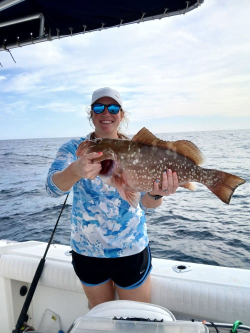 Tarpon Fishing 4 Hours