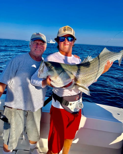 Full day inshore 