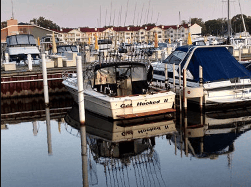Lake Michigan Fishing Trip