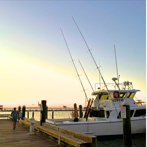 Shark Fishing Gulf Shores