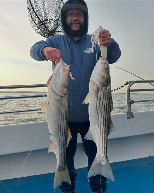 Fishing Fun in the Sun