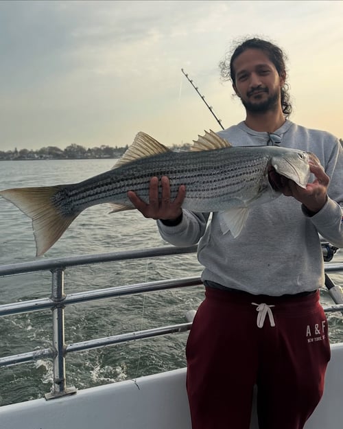 Fishing Fun in the Sun