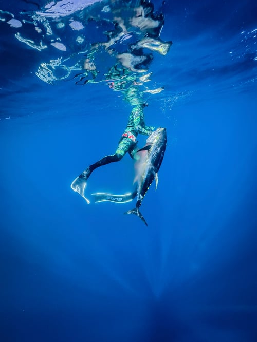 Offshore Camp Adventure