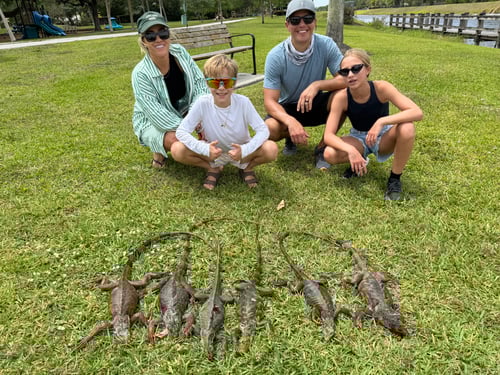 Cast and Blast combo!