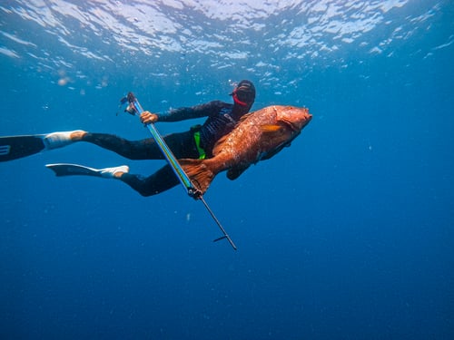 SPEARFISHING PANAMA