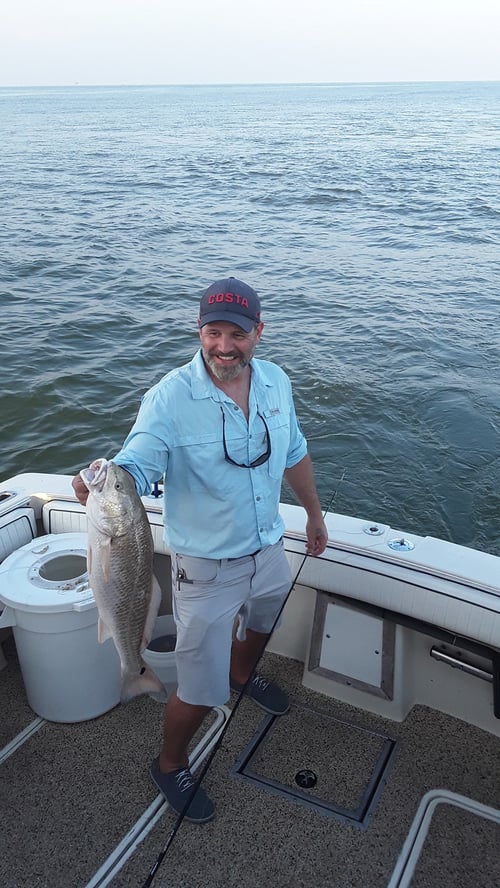 Inshore Fishing Trip